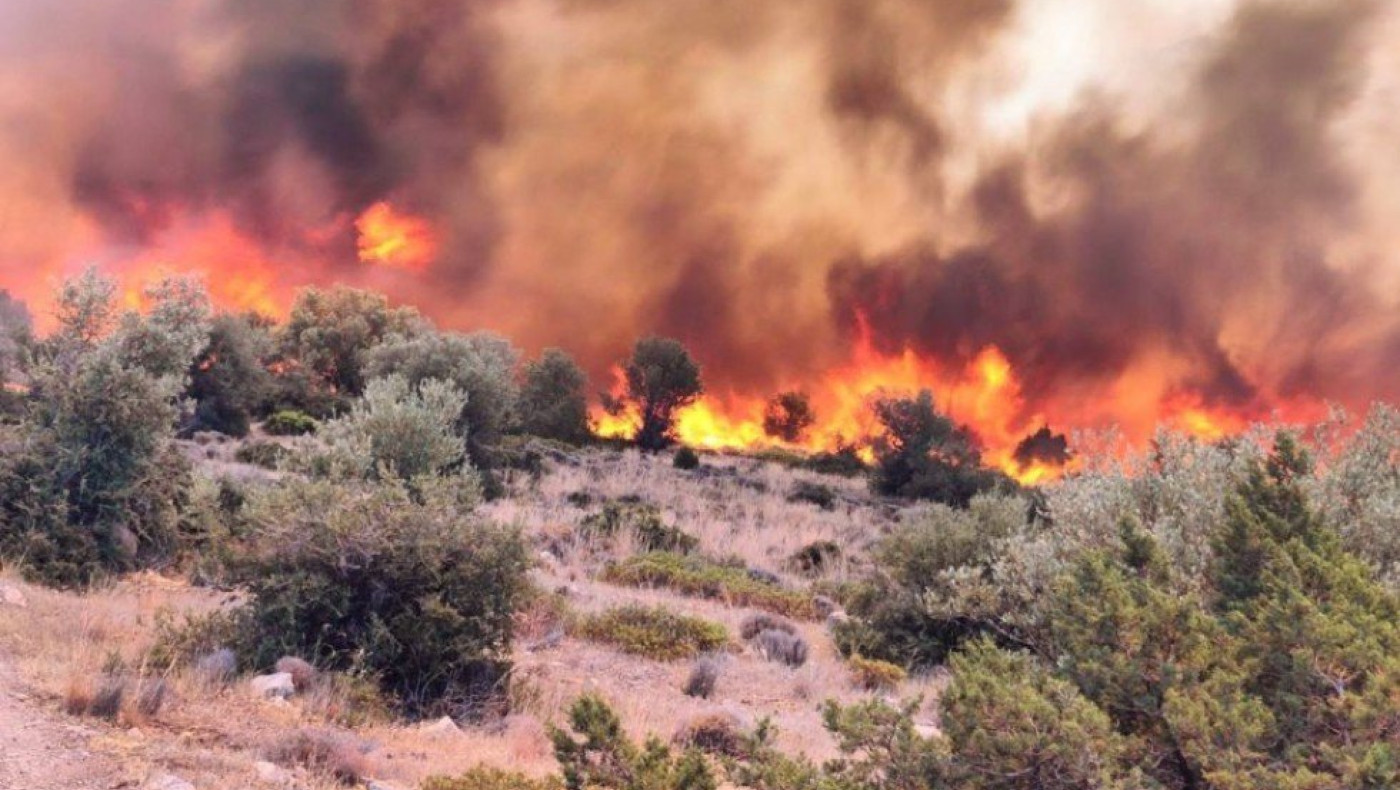 Φωτιά στον Άγιο Βλάσιο Βοιωτίας-Ήχησε το 112 (pics)