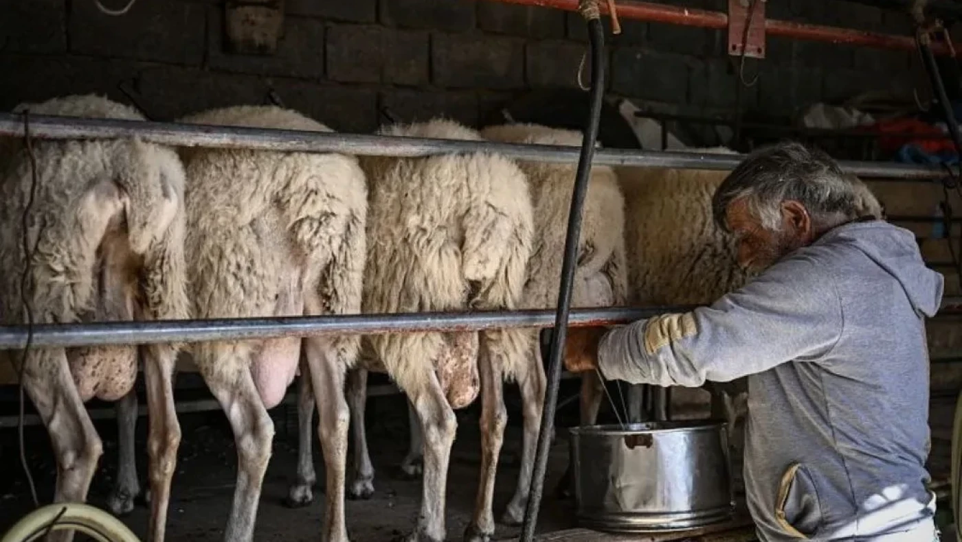 Βολος: Νεκρος βρέθηκε κτηνοτρόφος απο τοίχο που έπεσε από κατολίσθηση
