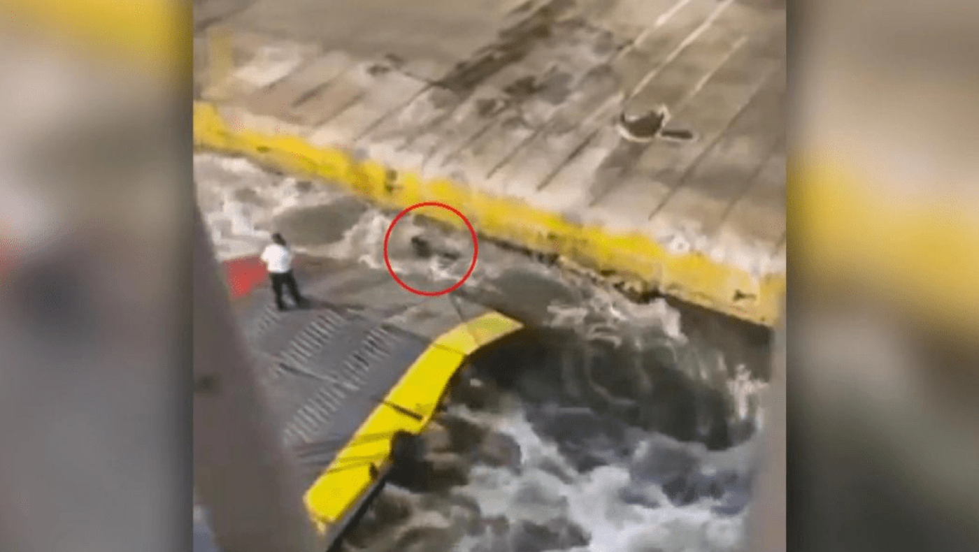 Συγκλονιστικές στιγμές στο Blue Horizon: Φωνάζαμε «τι κάνεις» και σαν να μη συνέβη τίποτε είπαν «φεύγουμε»