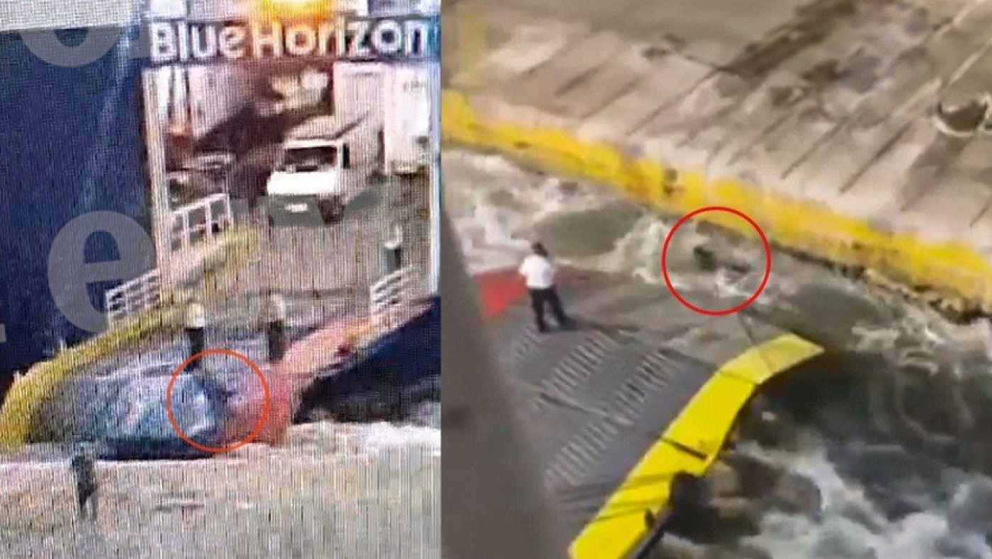 Παπαγγελής: «Υπάρχει το μαύρο κουτί του πλοίου και θα βγει στον αέρα τα όσα είπαν ο πλοίαρχος με τον ύπαρχο»