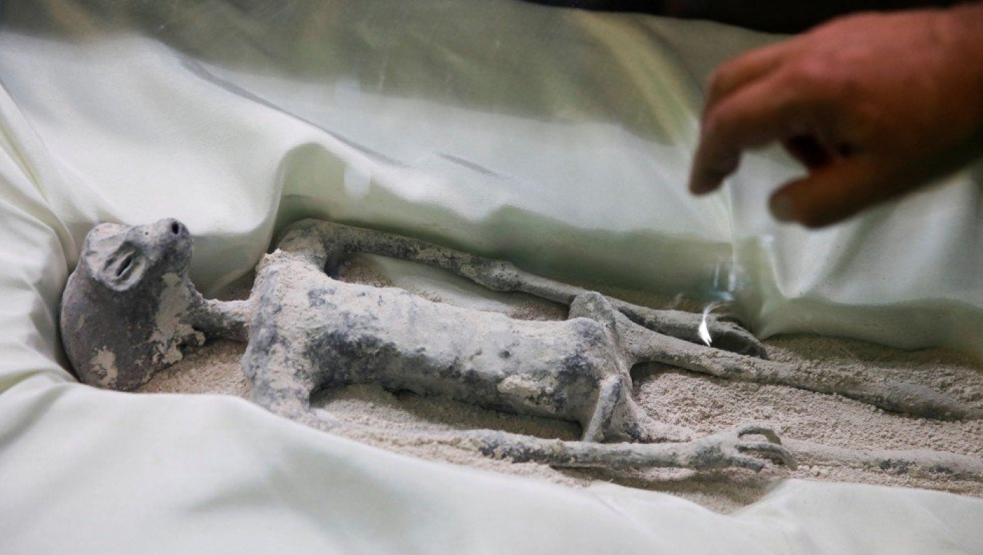 Πώς ερμηνεύουν οι επιστήμονες τα «πτώματα εξωγήινων» στο Μεξικό