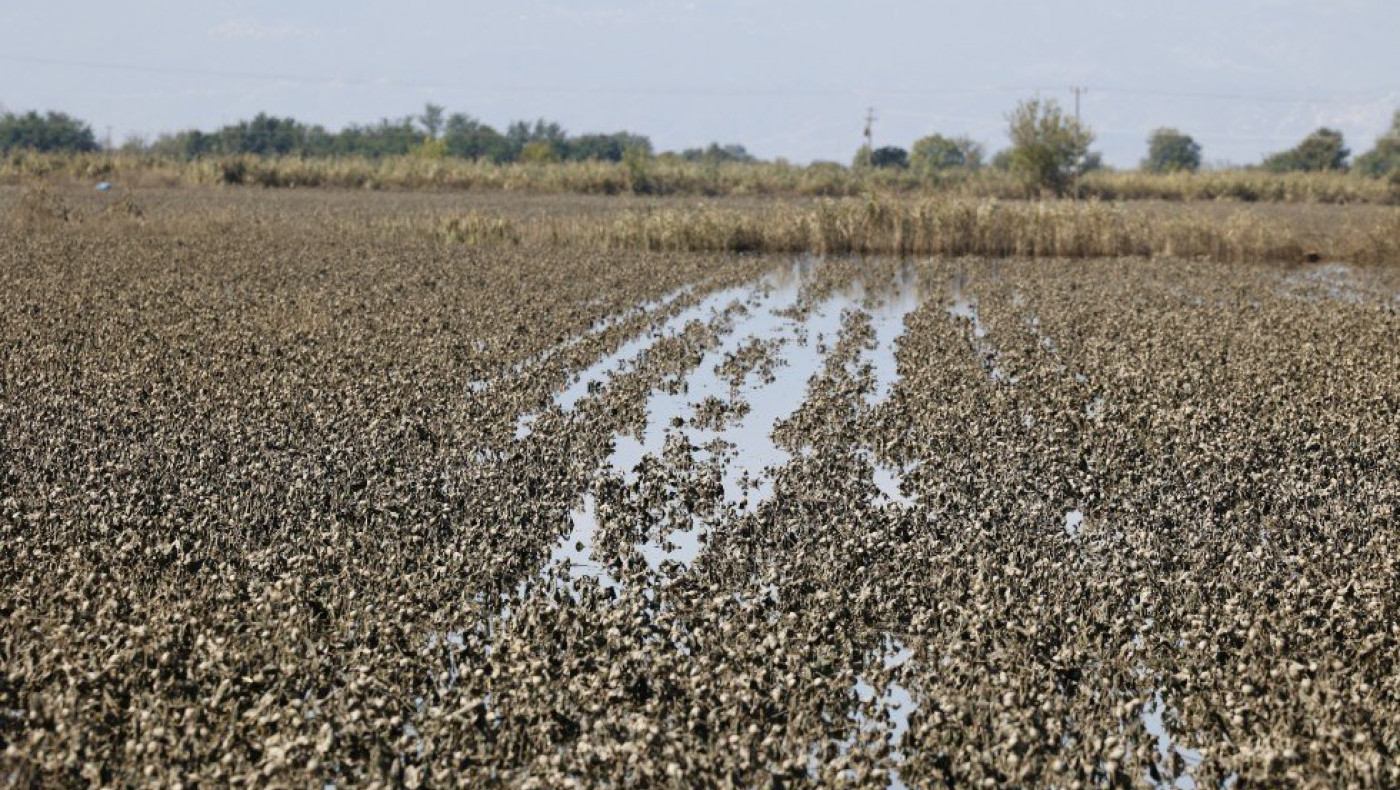 Κακοκαιρία στη Θεσσαλία: Μήνυση από αγρότες σε Κικίλια, Τριαντόπουλο και Αγοραστό