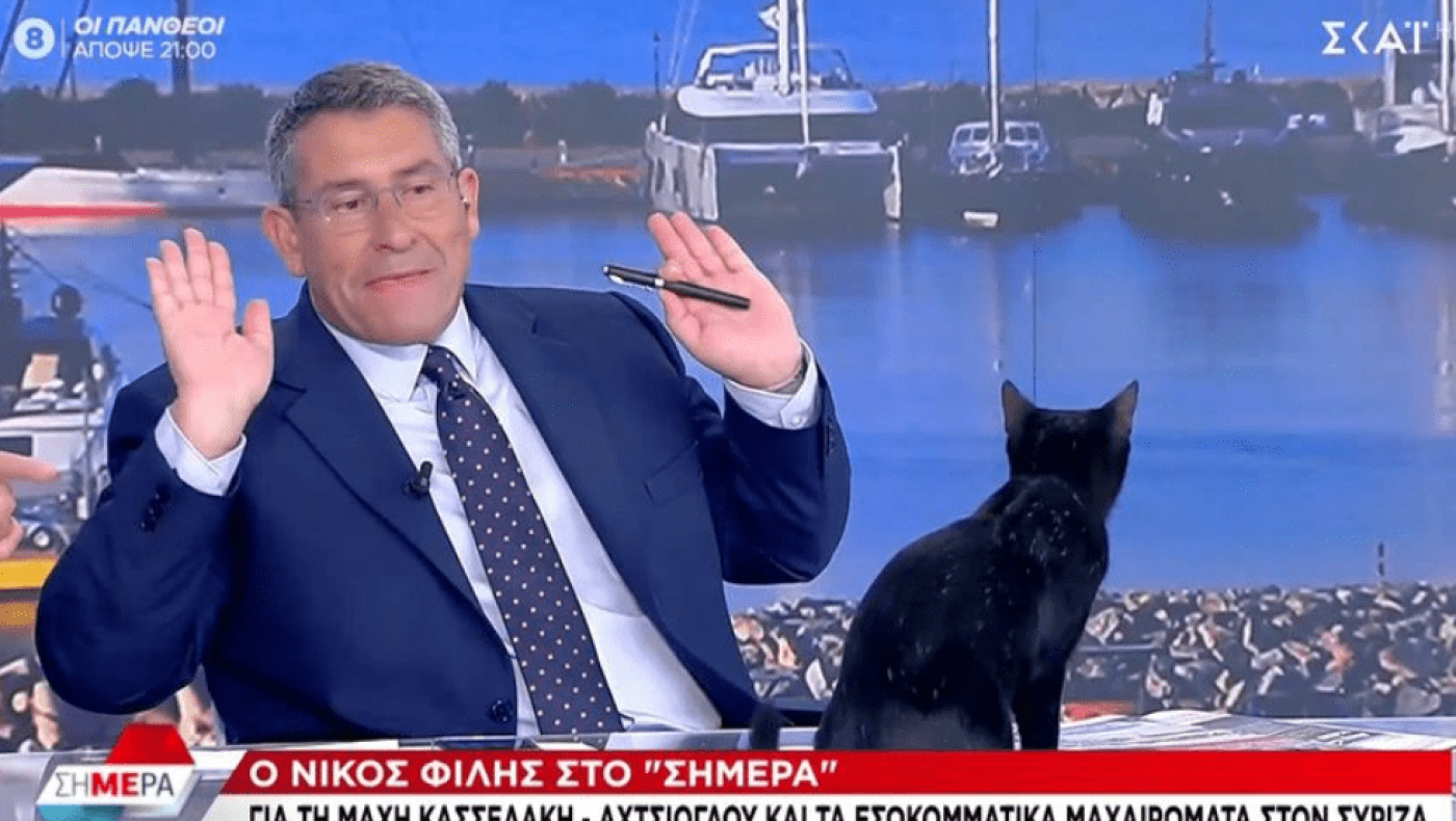 Μαύρη γάτα «εισέβαλε» on air στον ΣΚΑΪ