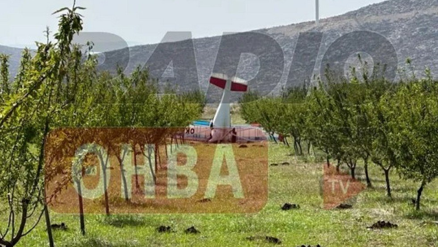 Πτώση μονοκινητήριου αεροπλάνου στη Θήβα - Νεκρός ο πιλότος