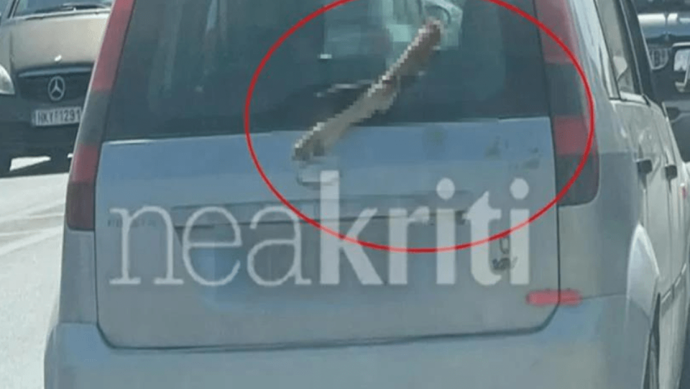 Κρήτη: Οδηγούσε με καρφωμένο ένα πόδι κατσίκας στο παρμπρίζ του