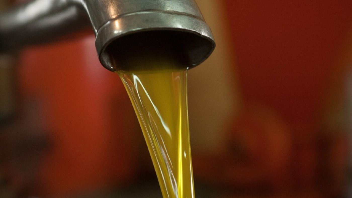 «Φωτιά» το ελαιόλαδο: 212% πάνω μέσα σε 14 μήνες - Εφιαλτική πρόβλεψη για την τιμή