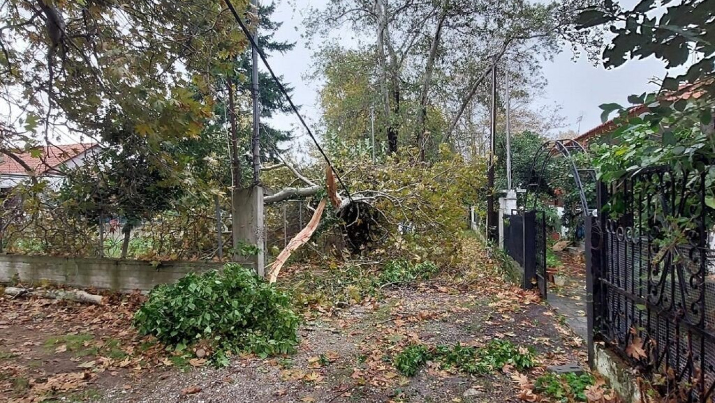 Χαλκιδική: Ανεμοστρόβιλος ξήλωσε δέντρα και στέγες