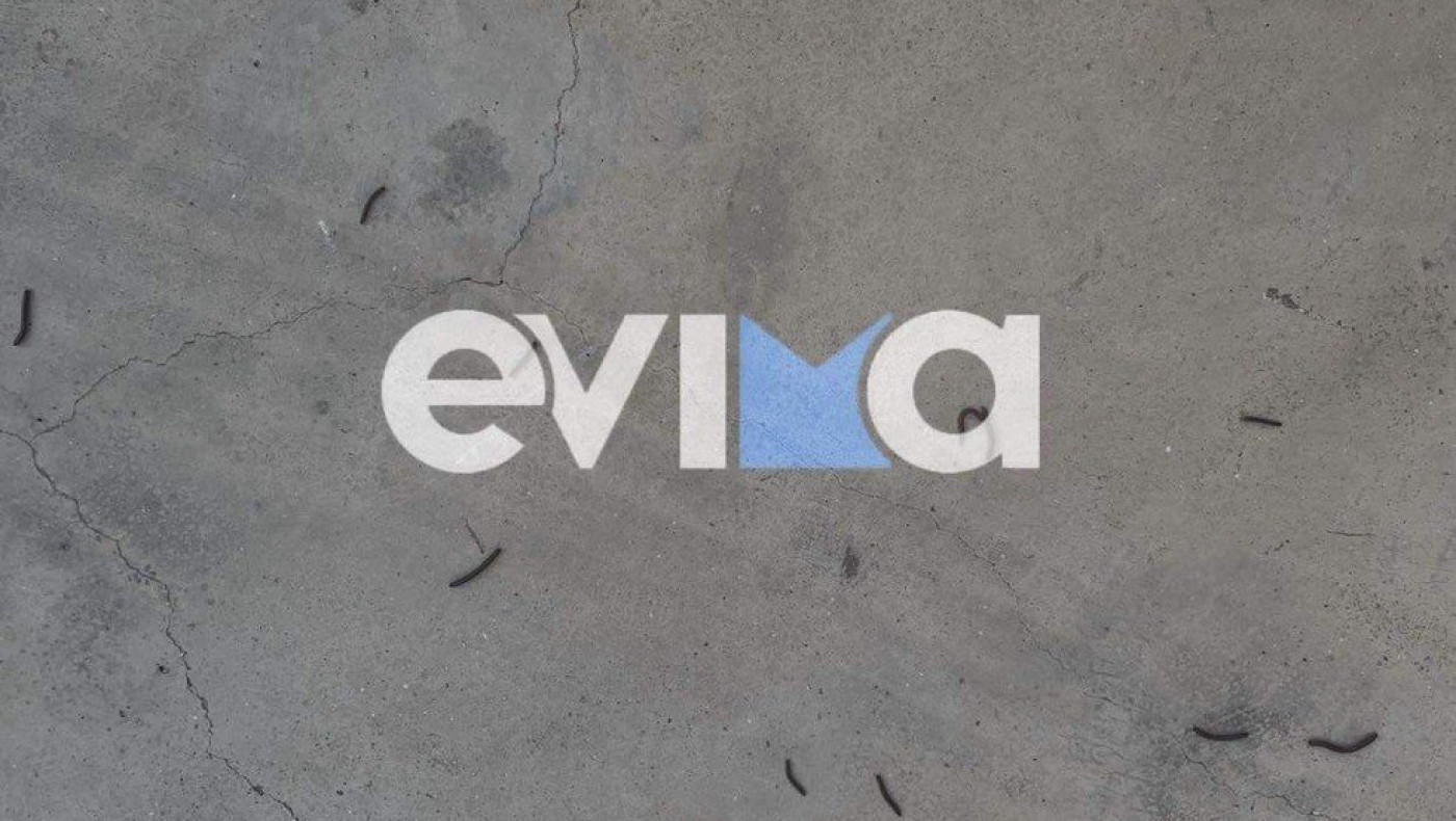 «Επέλαση» σκουληκιών στην Εύβοια