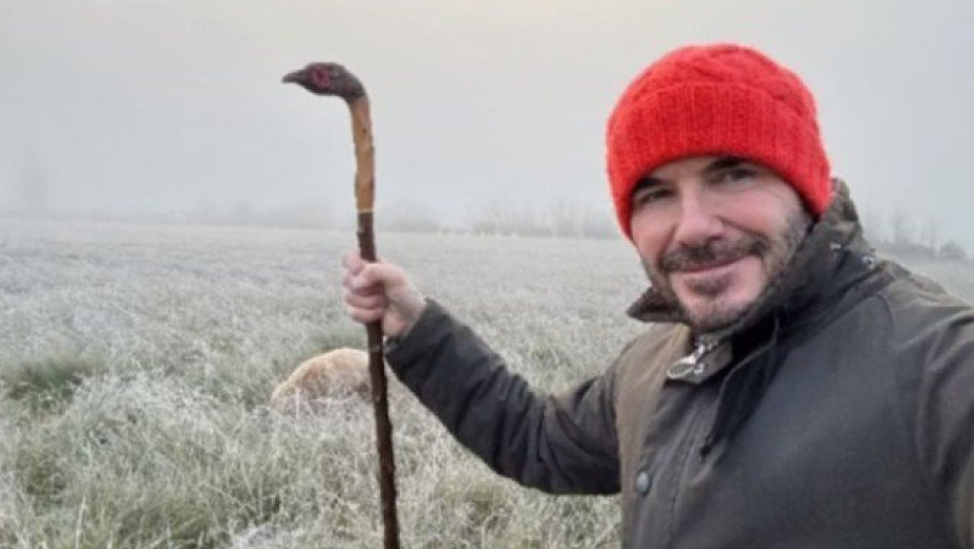 Ο Μπέκαμ με... γκλίτσα έβγαλε τα σκυλιά του βόλτα (pic)