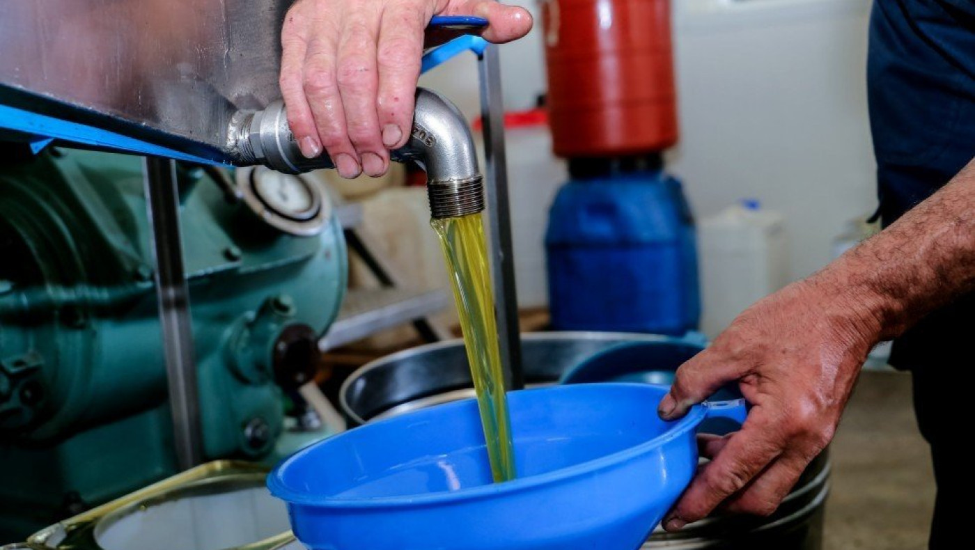 Βουλγαρία: Νοθευμένο ελαιόλαδο πωλείται ως ελληνικό – Παγίδα οι δελεαστικές τιμές