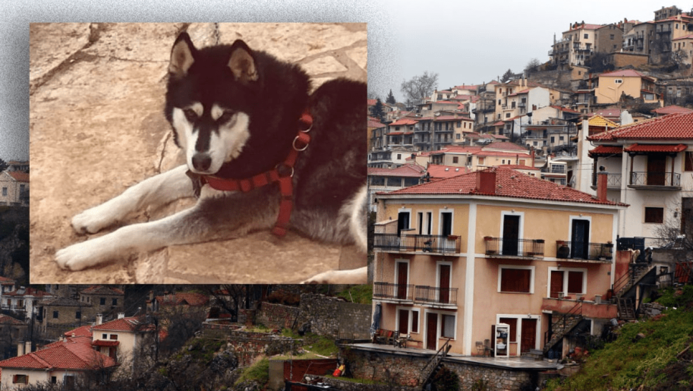 Αράχωβα: Οι κάμερες που «είδαν» τον Όλιβερ και η εμπλοκή του ανθρωποκτονιών