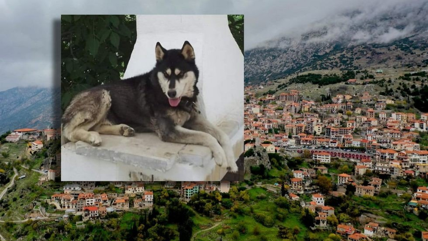 Αράχωβα: «Ο δράστης βασάνισε τον Όλιβερ 100 μέτρα από το σπίτι του»