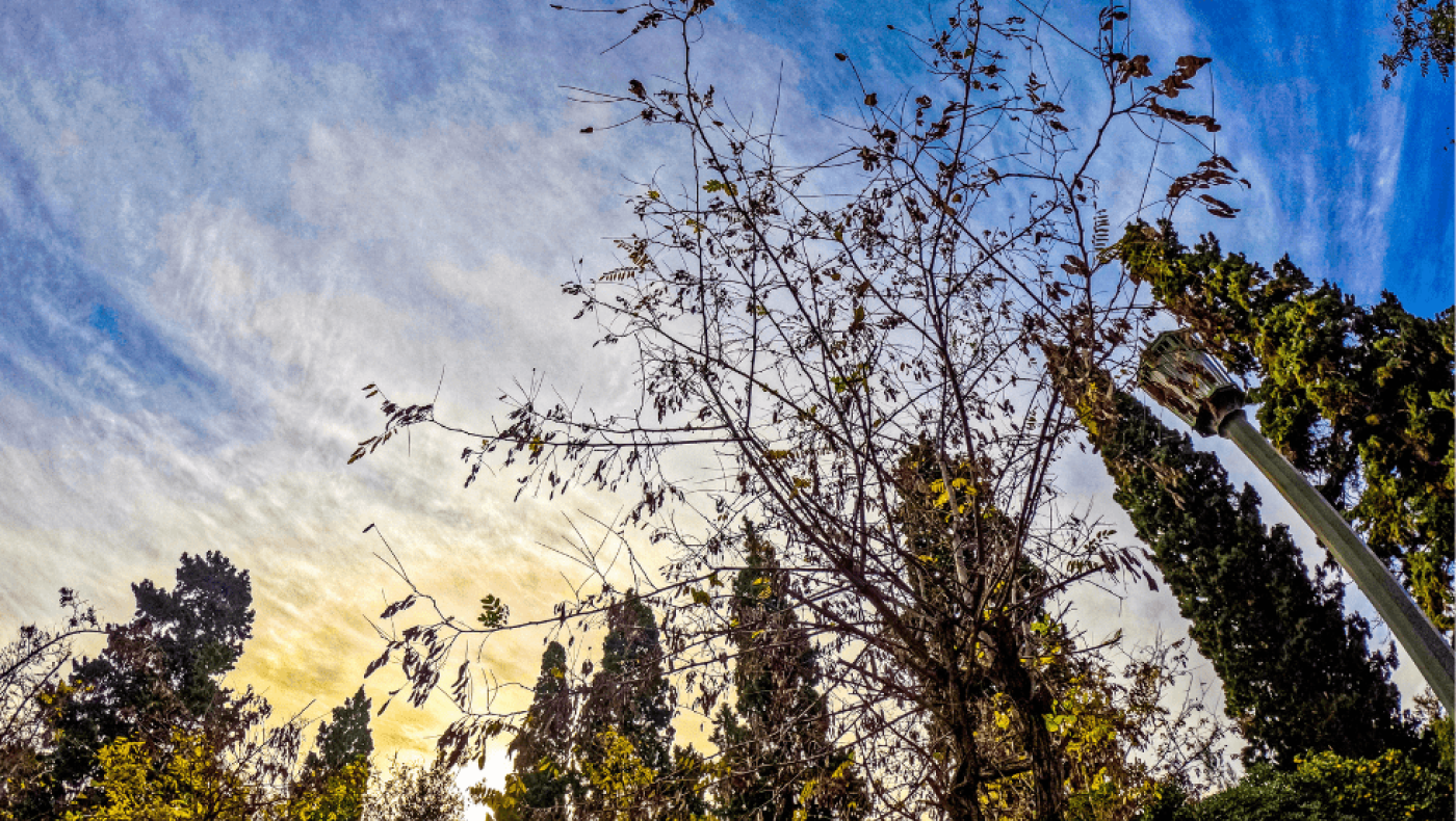 Καιρός - Τσατραφύλλιας: Αφρικανική ζέστη θα εκτοξεύσει τον υδράργυρο 10°C πάνω από τα φυσιολογικά για την εποχή επίπεδα