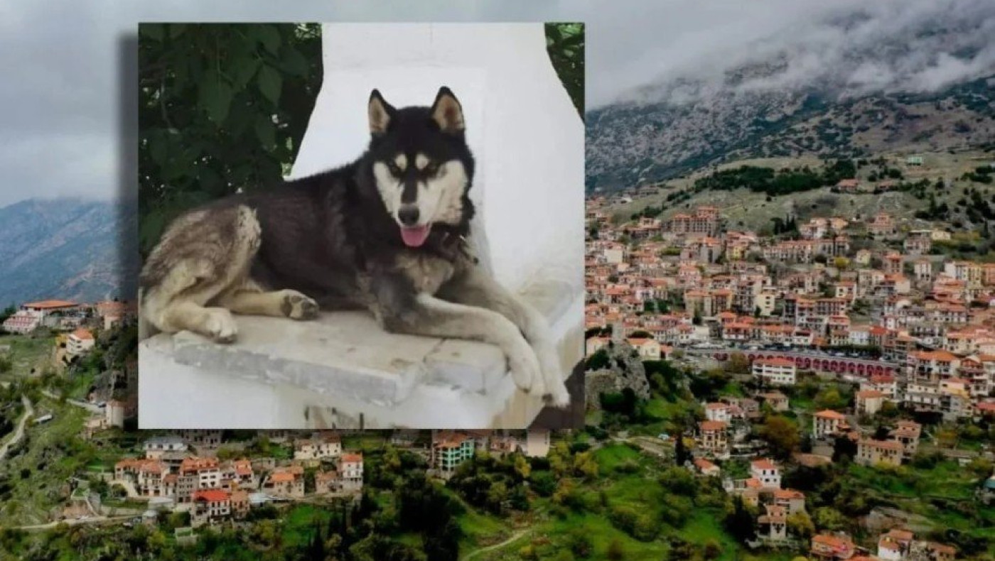 Αράχωβα: Οι φωτογραφίες που θα φέρει στο φως η δικηγόρος του ιδιοκτήτη