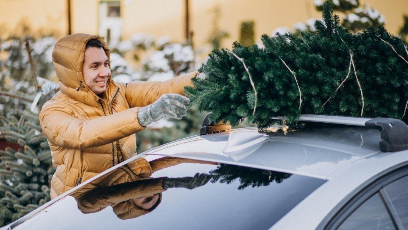 Ποιο τσουχτερό πρόστιμο κρύβει το χριστουγεννιάτικο δέντρο