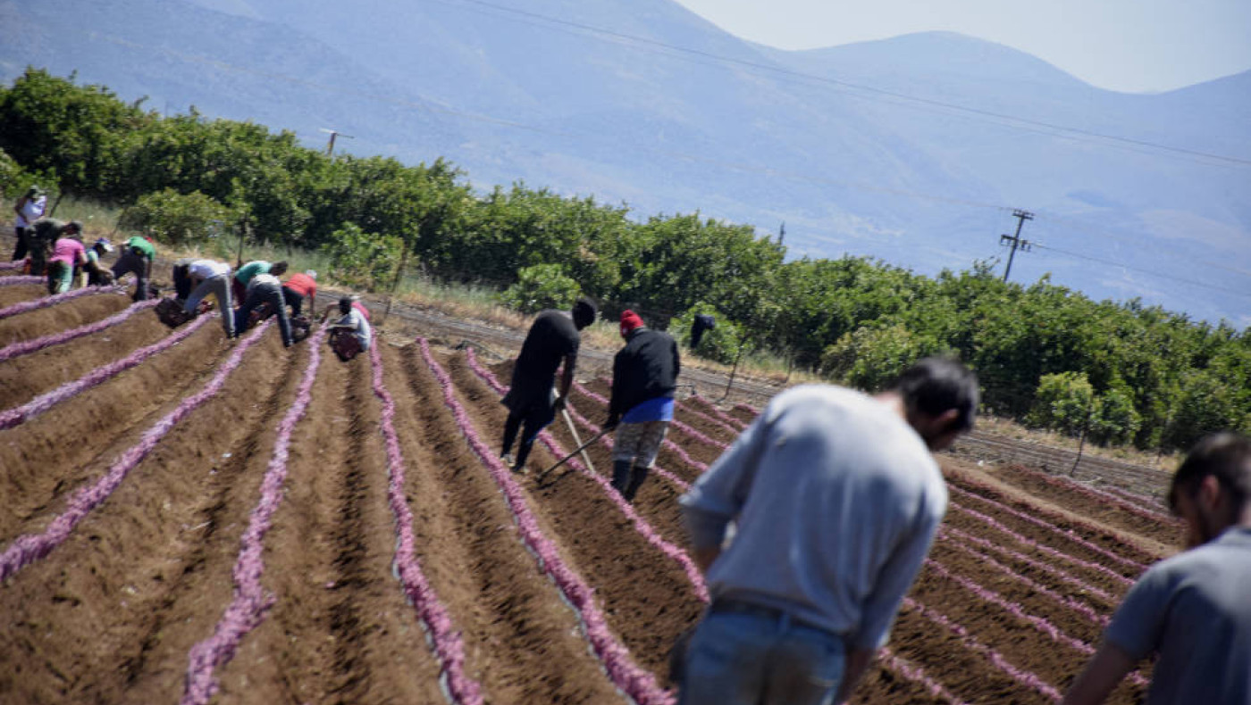 Υπουργείο Εργασίας: Τι προβλέπει η τροπολογία περί παραμονής και εργασίας μεταναστών - 17 ερωτήσεις και απαντήσεις