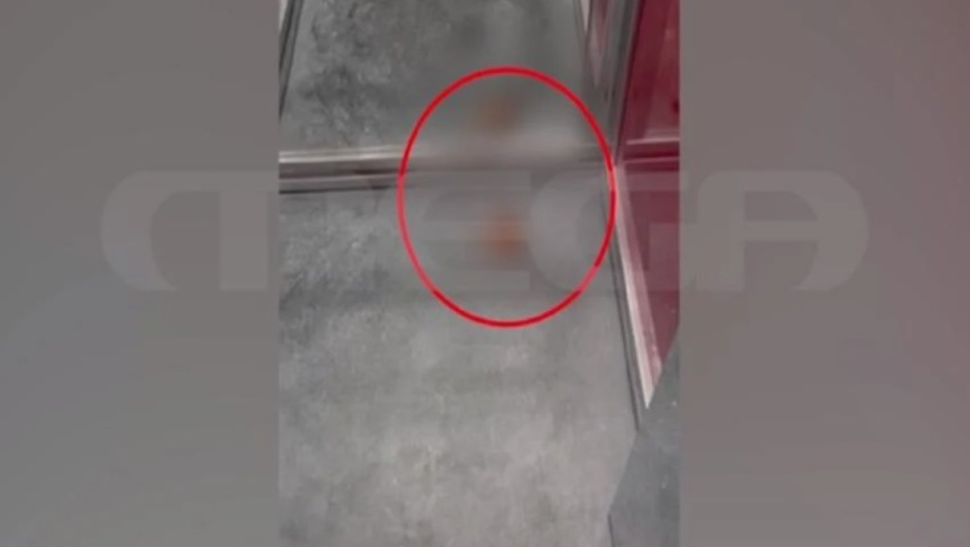 Διανομέας αφόδευσε στο ασανσέρ πολυκατοικίας!