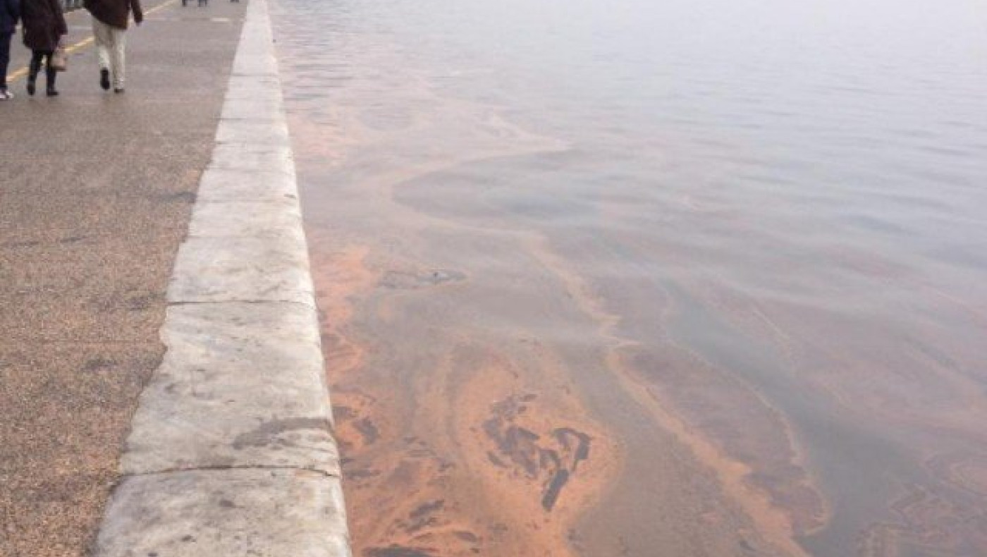 Τα νερά του Θερμαϊκού «βάφτηκαν» ξανά...  κόκκινα!