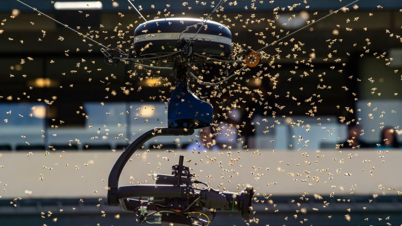 Απίστευτο: Σμήνος μελισσών διέκοψε… αγώνα τένις στο Indian Wells