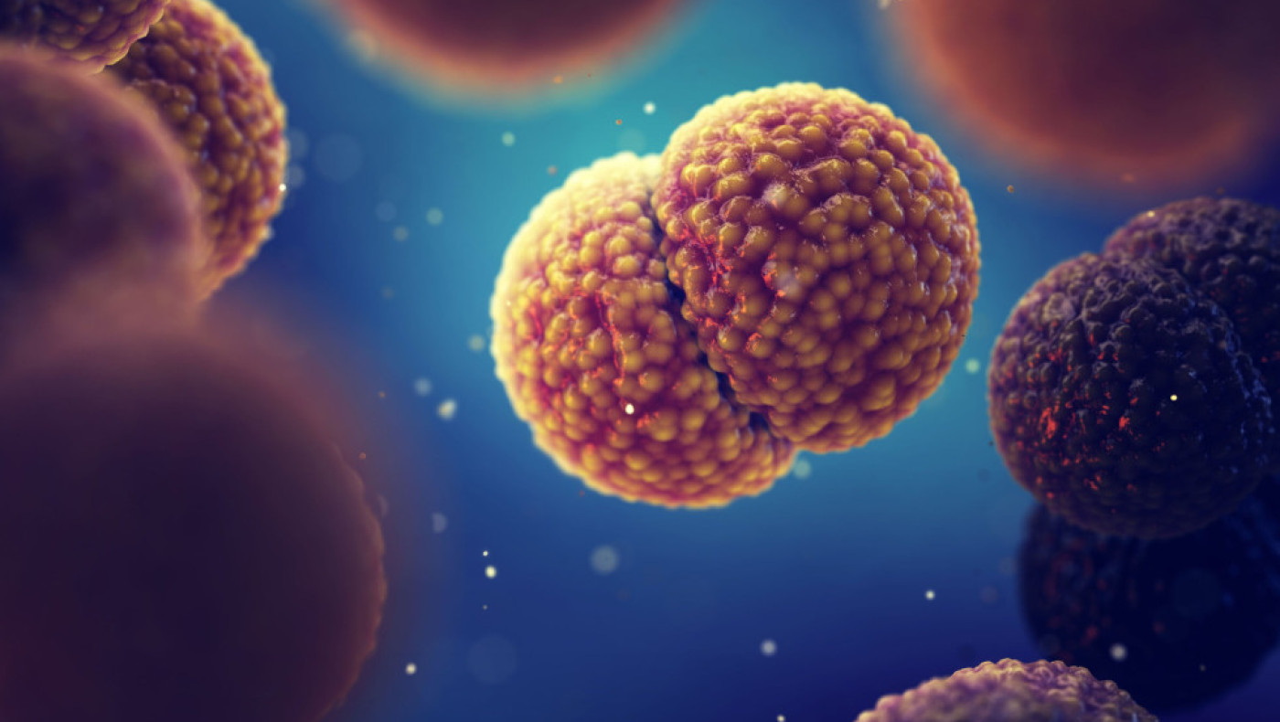 Μηνιγγίτιδα: Ποιοι χρειάζονται χημειοπροφύλαξη – Οι οδηγίες για τη διαχείριση επιδημικών εκρήξεων