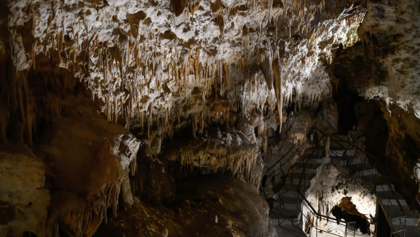 Θεσσαλονίκη: Επισκέψιμο ξανά το σπήλαιο Πετραλώνων Χαλκιδικής, το «σπίτι του αρχανθρώπου»