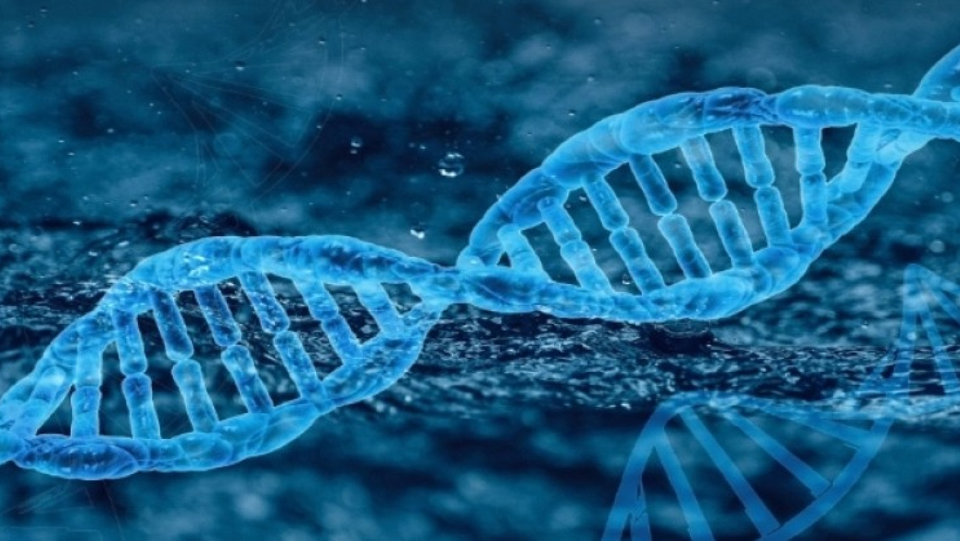 Οι επιστήμονες διχάζονται για το τι θα συμβεί στους άνδρες καθώς το χρωμόσωμα Υ εξαφανίζεται