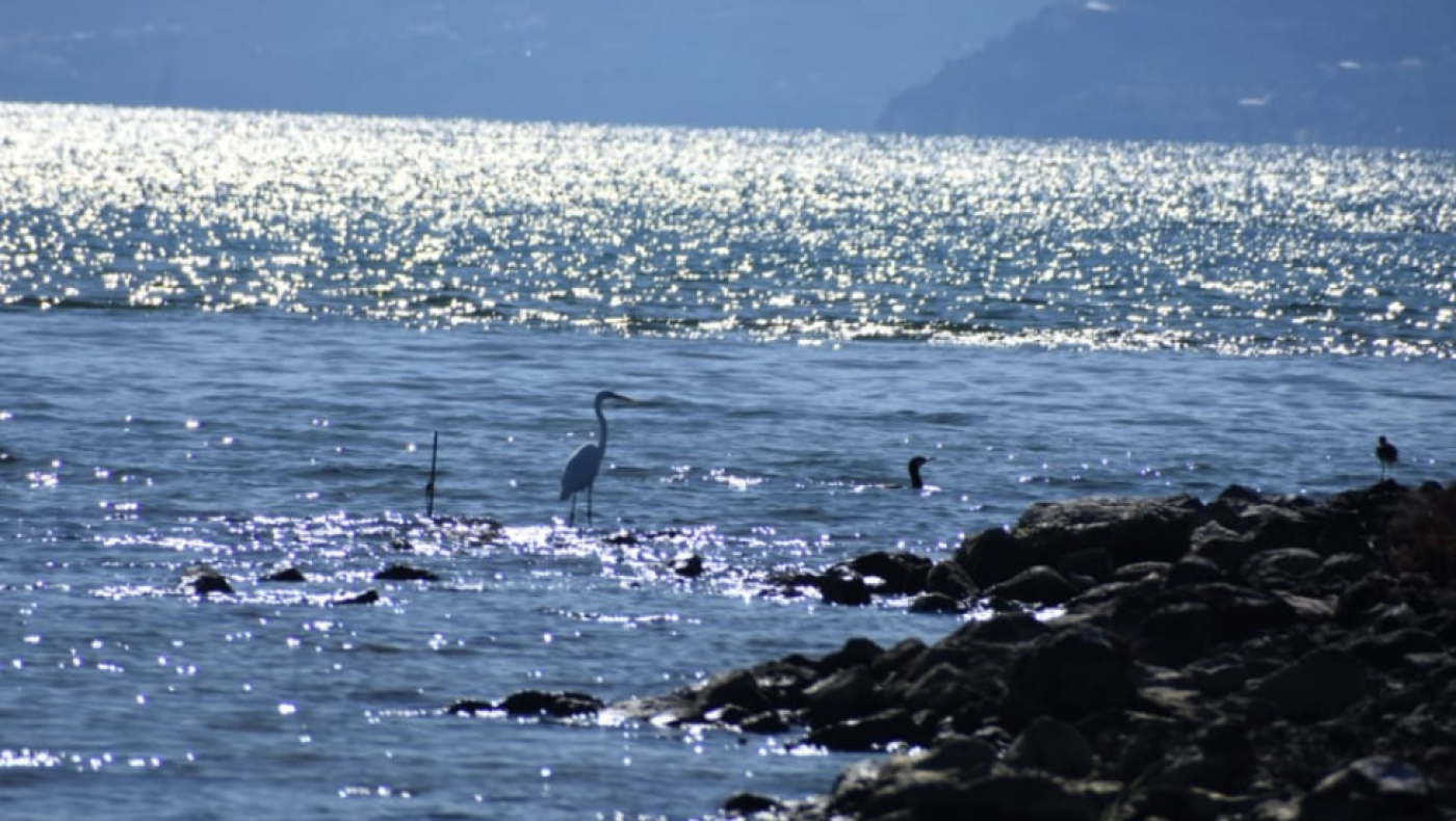 Η Ελλάδα έζησε τον πιο ζεστό χειμώνα στα χρονικά - Η Μεσόγειος «φλέγεται» από θαλάσσιους καύσωνες