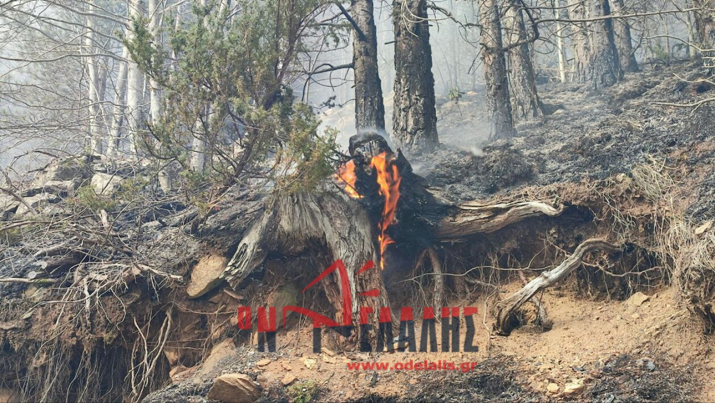 Κατερίνη: Συνεχίζεται για δεύτερη μέρα ο πύρινος εφιάλτης στα Πιέρια Όρη
