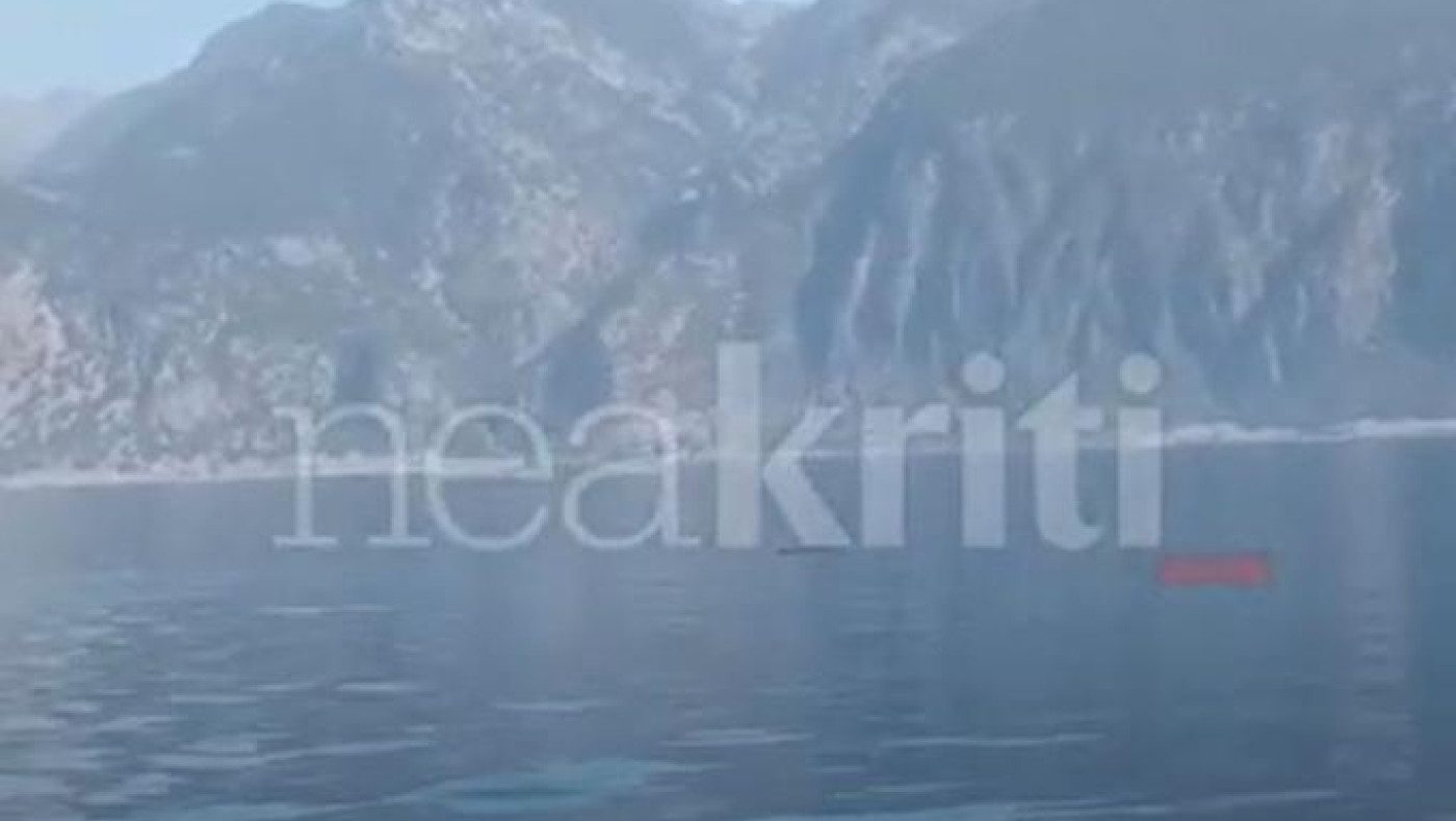 Κρήτη: ﻿Σε ποια περιοχή εθεάθη φάλαινα φυσητήρας
