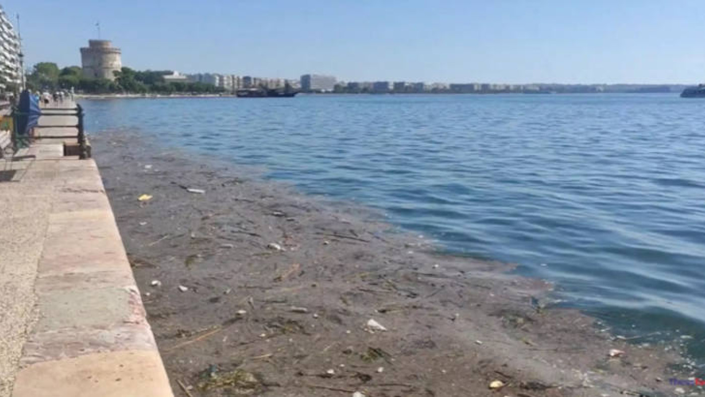 Θεσσαλονίκη: Γέμισε με σκουπίδια και φύκια ο Θερμαϊκός