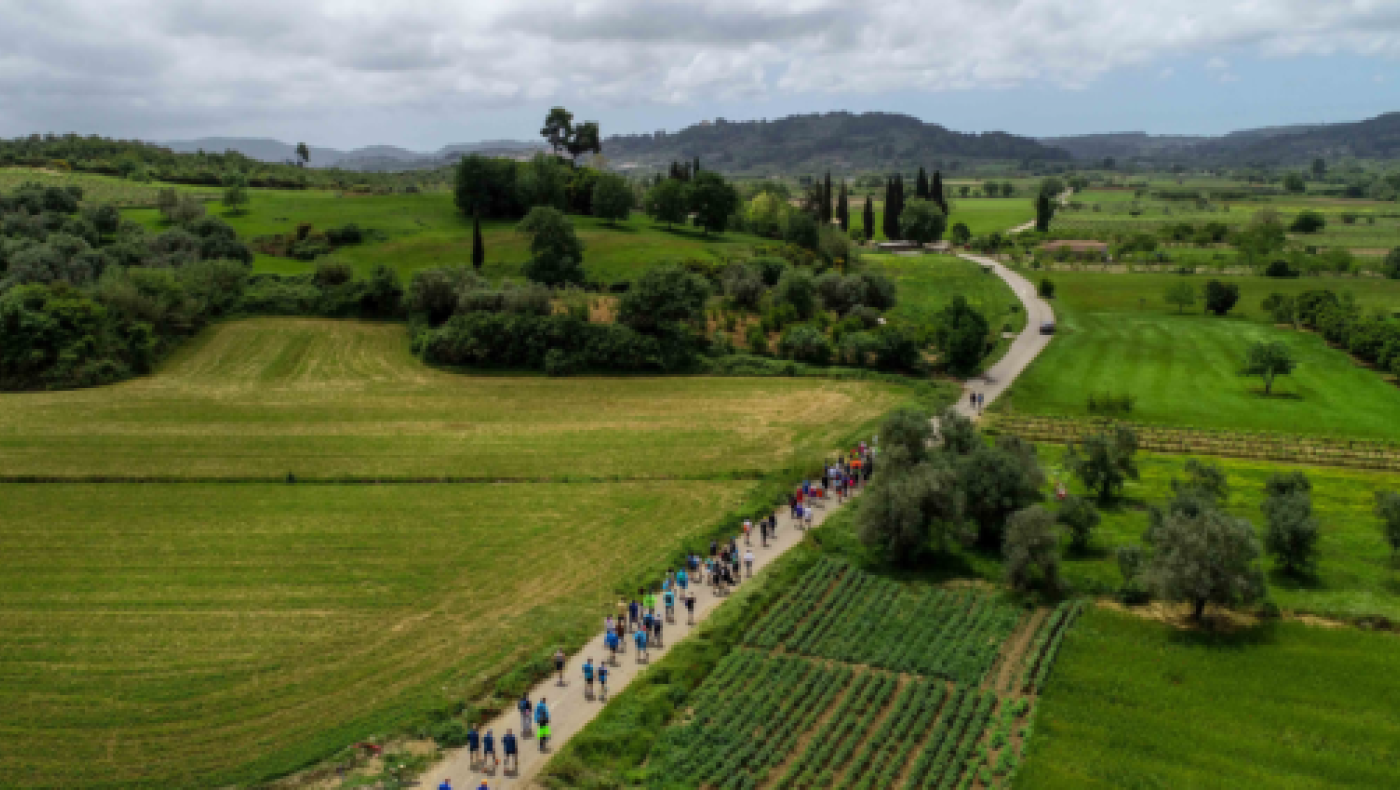 Αρχαία Ολυμπία: Νεκρός 60χρονος δρομέας που έτρεχε στον «Δρόμο Ολυμπιακής Εκεχειρίας»
