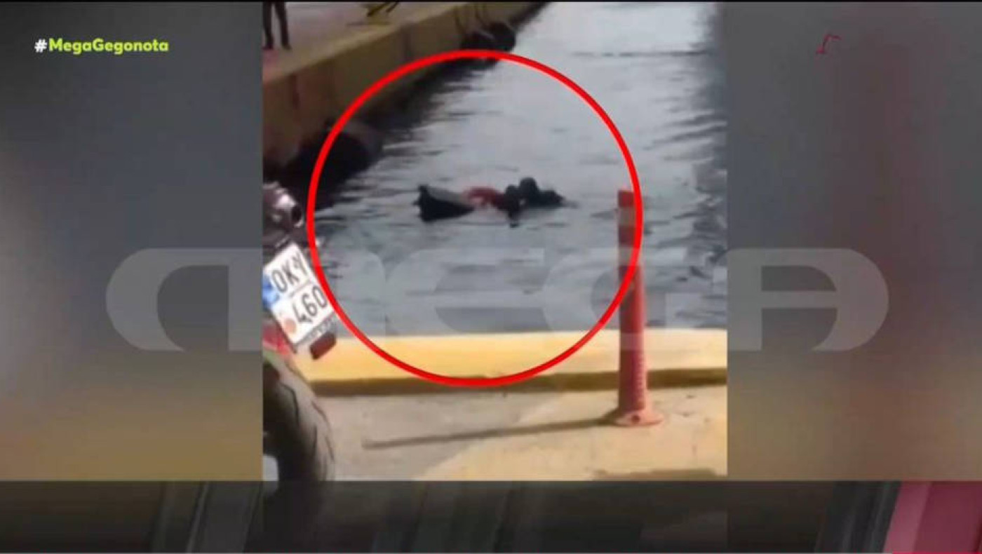 Πειραιάς: Ηλικιωμένη τουρίστρια γλίστρησε και έπεσε στη θάλασσα! (vid)