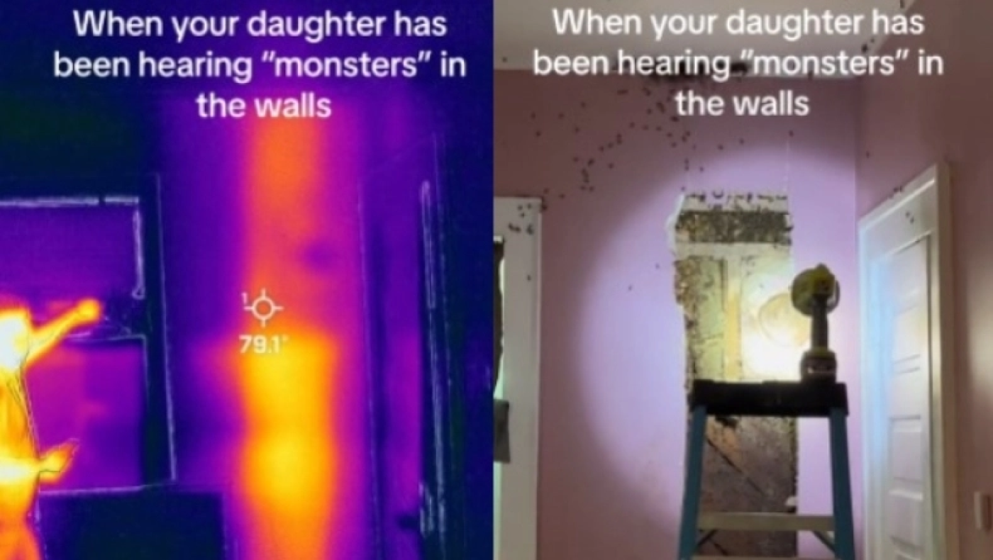 Ανατριχιαστικό-Μητέρα ανακάλυψε 50.000 μέλισσες στο δωμάτιο της κόρης της (vid)