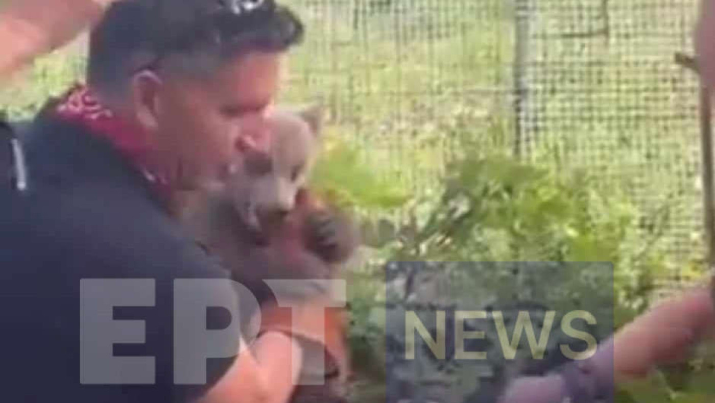 Πτολεμαΐδα: Αρκουδάκι έκοβε... βόλτες στην αυλή σπιτιού (pic)