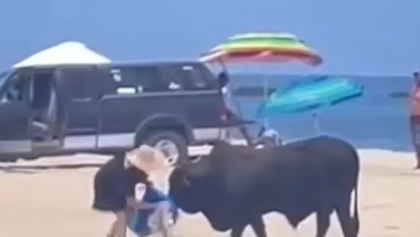 Γυναίκα δέχτηκε επίθεση από ταύρο σε παραλία - Τρομακτικό βίντεο