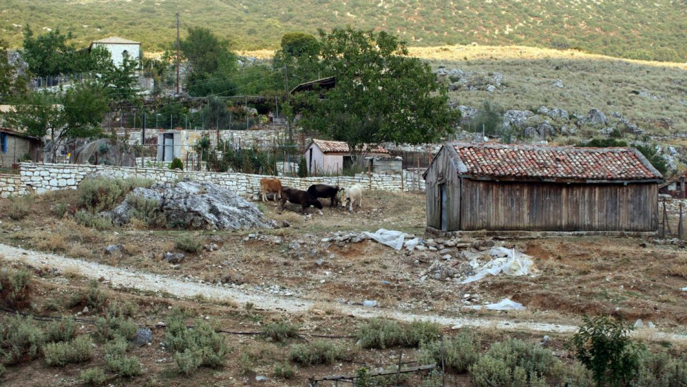 Δολοφονία στο Κιλκίς: Δίωξη για ανθρωποκτονία με δόλο στον 54χρονο κτηνοτρόφο