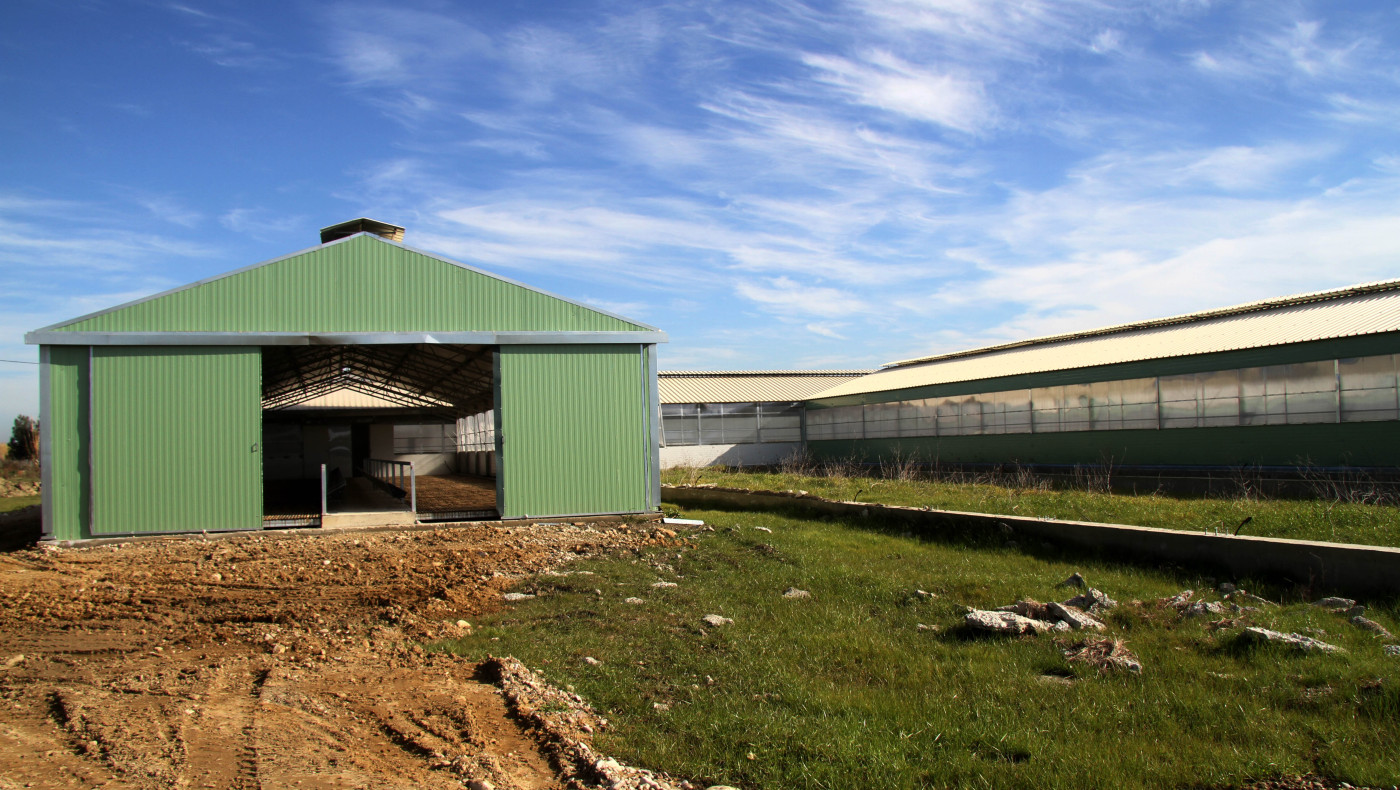 Κιλκίς: Θύμα συμμορίας που πήγε να ληστέψει τον 54χρονο το θύμα - 3 συλλήψεις