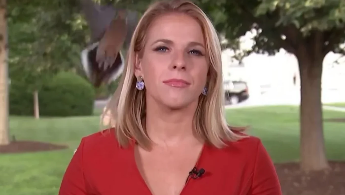 Περιστέρι προσγειώθηκε στο κεφάλι δημοσιογράφου - Η αντίδρασή της (vid)