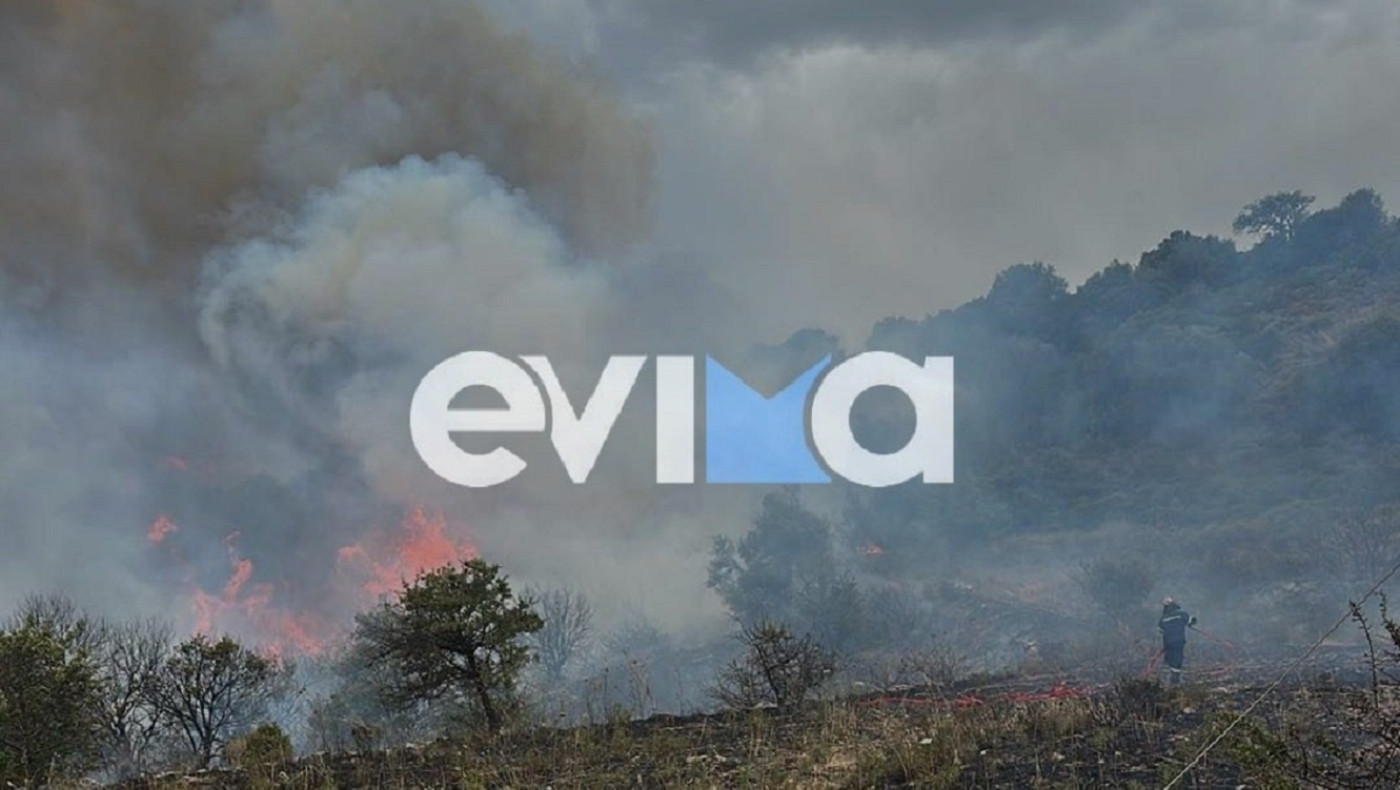 Εύβοια: Φωτιά σε αγροτοδασική έκταση-Εστάλη μήνυμα από το 112 στους κατοίκους