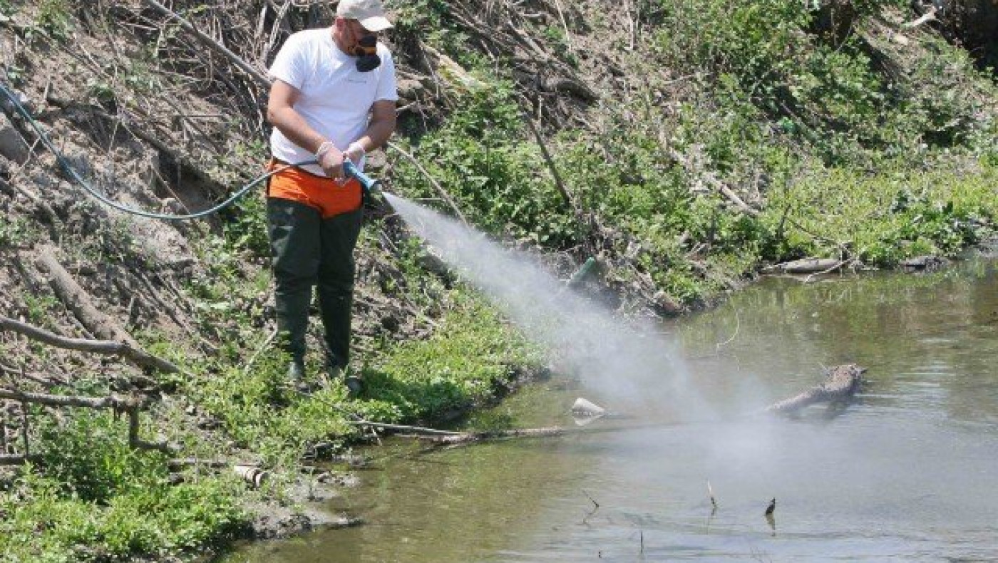 Θεσ/νίκη: Πού γίνονται σήμερα & αύριο επίγειοι ψεκασμοί για κουνούπια