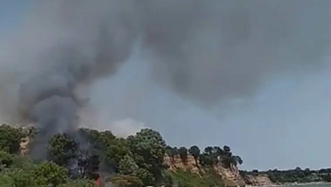 Πιερία: Φωτιά στην Αρχαία Πύδνα-Επιχειρούν εναέρια μέσα (vid)