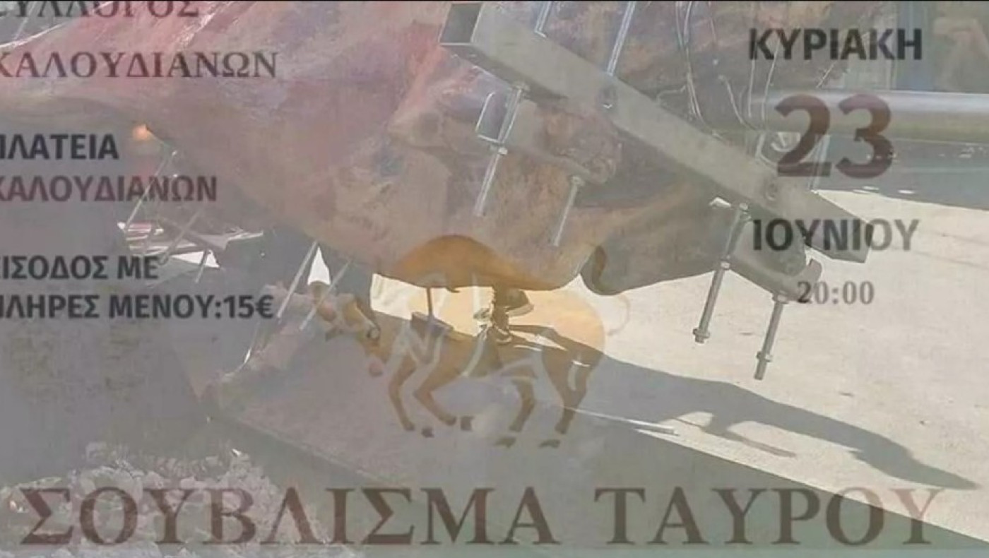 Κρήτη: Σάλος με το σούβλισμα ταύρου για τη γιορτή του Αγίου Πνεύματος