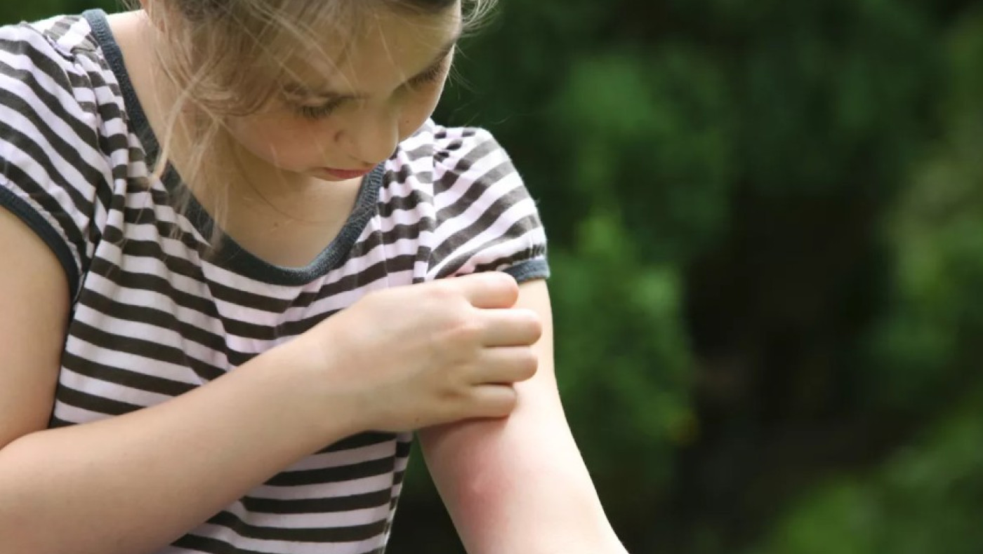 Ιός Δυτικού Νείλου: Ποια ελληνική πόλη βρίσκεται στο επιδημιολογικό επίκεντρο