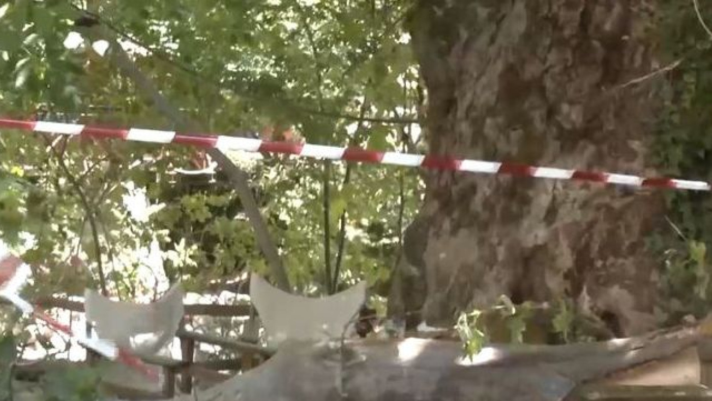 Λιτόχωρο: Τι έδειξε η αυτοψία του δασαρχείου για τον πλάτανο που σκότωσε 44χρονη
