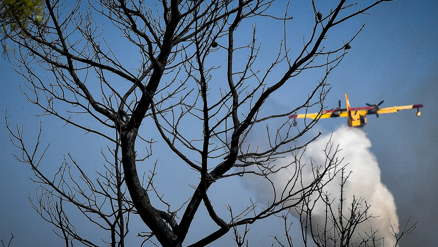 Μεγάλη πυρκαγιά στον Ωρωπό - Ήχησε το «112»