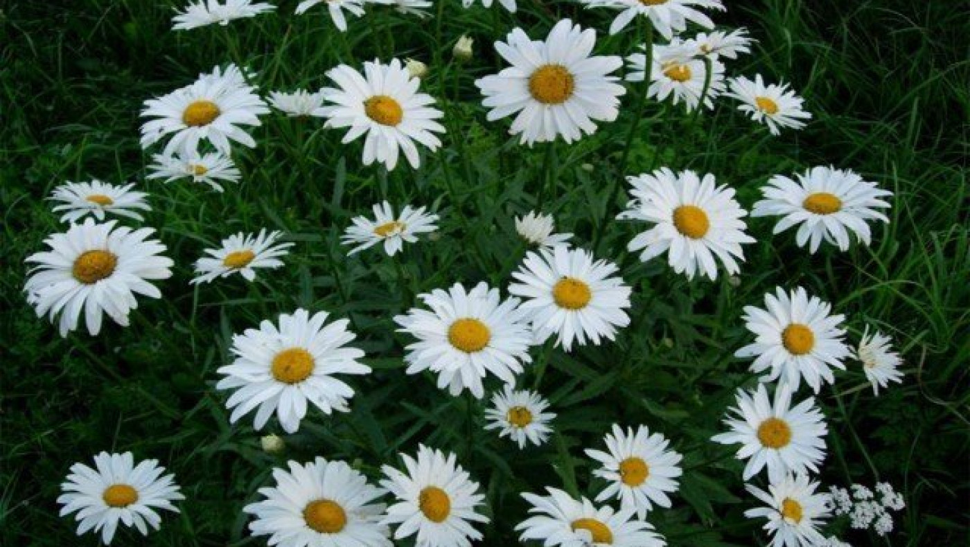 Η φαρσοκωμωδία δεν έχει τελειωμό στο ελληνικό ποδόσφαιρο