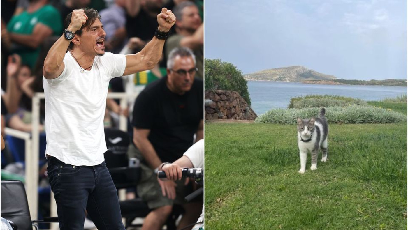 Γιαννακόπουλος: Βρέθηκε ο γάτος του «Φρι»