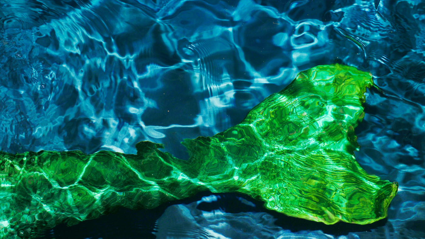 Σε ποια πόλη θα βρείτε τη σχολή για... γοργόνες