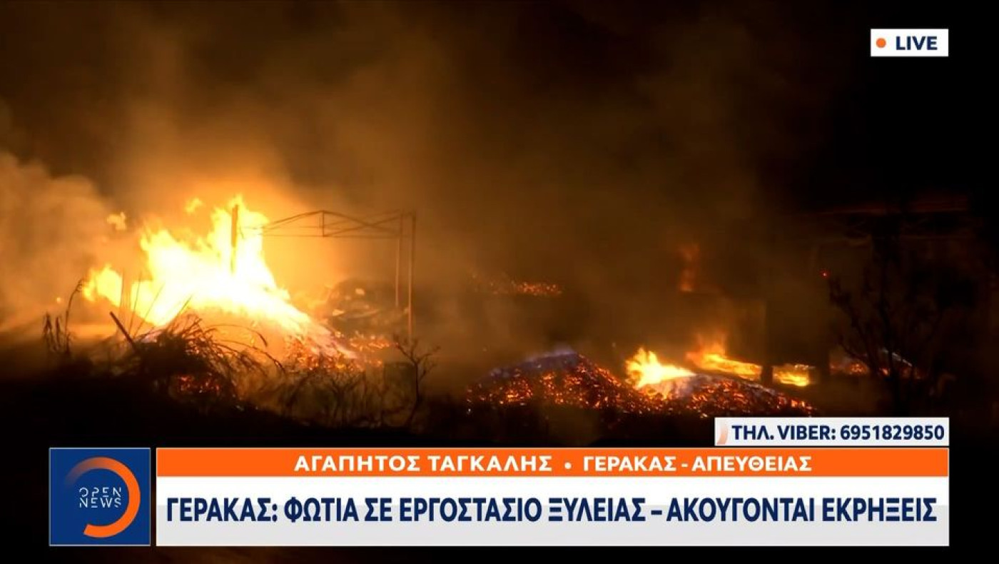 Φωτιά στην Αττική: Στις φλόγες εργοστάσιο ξυλείας στον Γέρακα (vid)