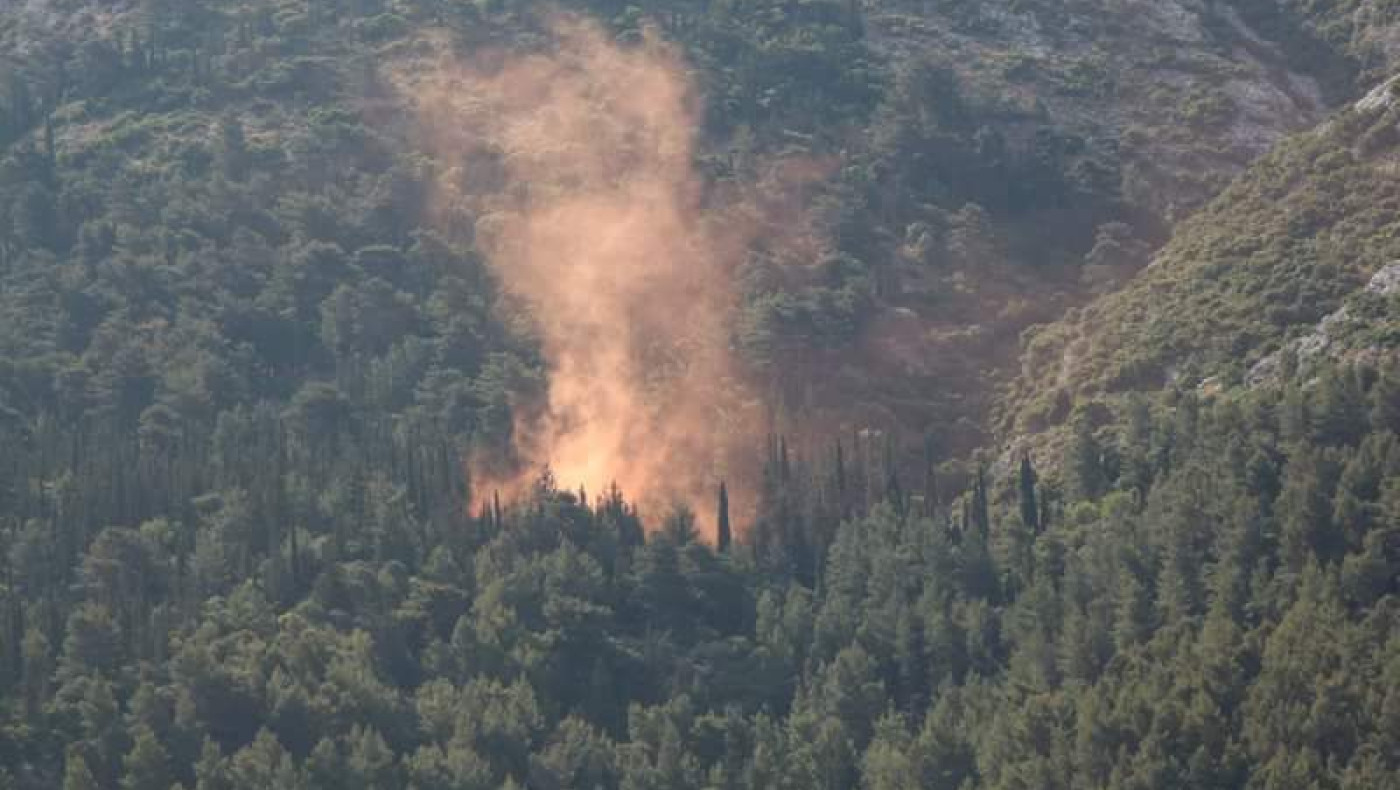 Ξέσπασμα κτηνοτρόφου για τη φωτιά: «Άκουγα τα ζώα μου να πεθαίνουν!» (vid)